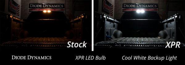 921 XPR Cool White Backup LED Bulbs